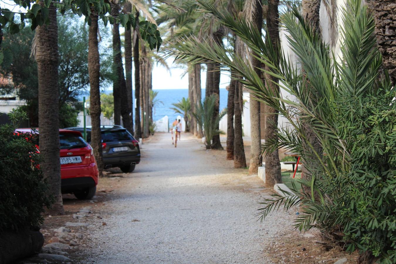 Camino hacia la playa del camping Los Pinos.