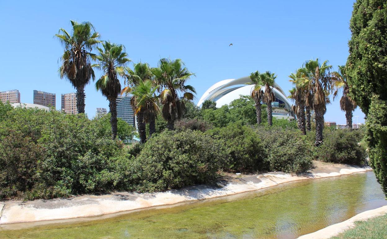 Jardines de la Ciudad de las Artes y de las Ciencias.