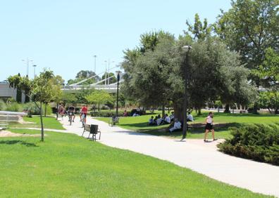 Imagen secundaria 1 - Nelly con los perros de sus vecinos. Jardines del Turia zona de la Ciudad de las Artes y de las Ciencias. 