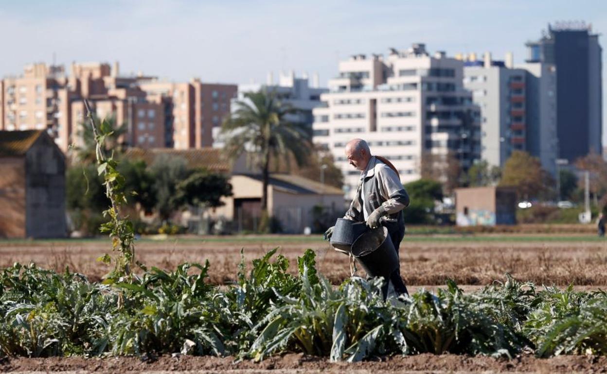 Agricultor en la huerta de la periferia de Valencia.