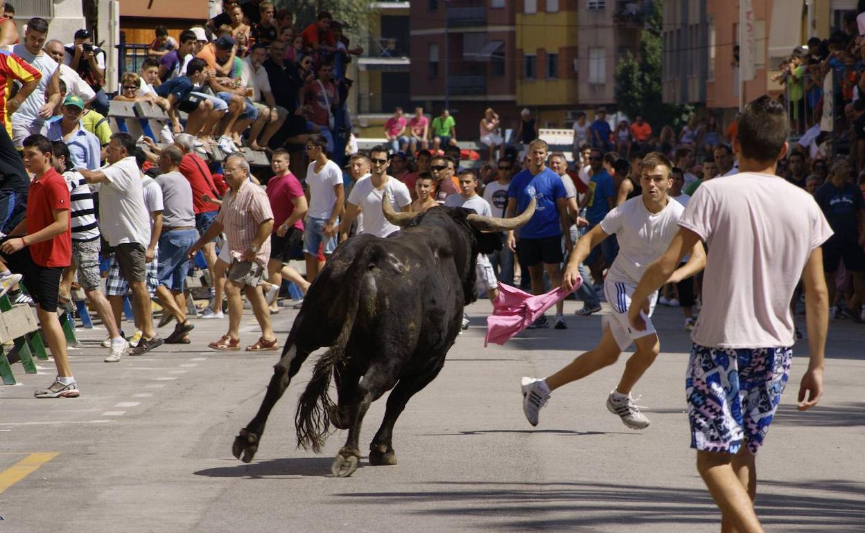 Participantes en un festejo de bous al carrer, en una imagen de archivo.