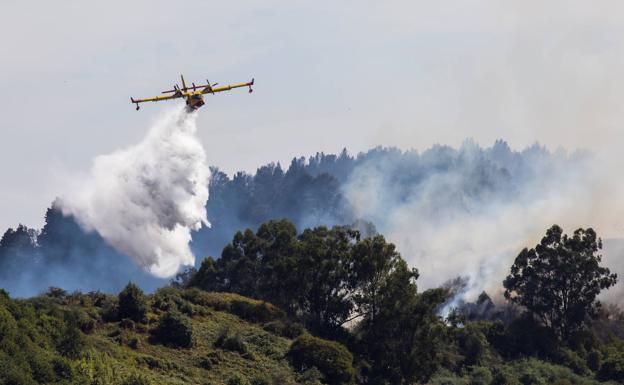 Un hidroavión trata de apagar el incendio de Gran Canaria.