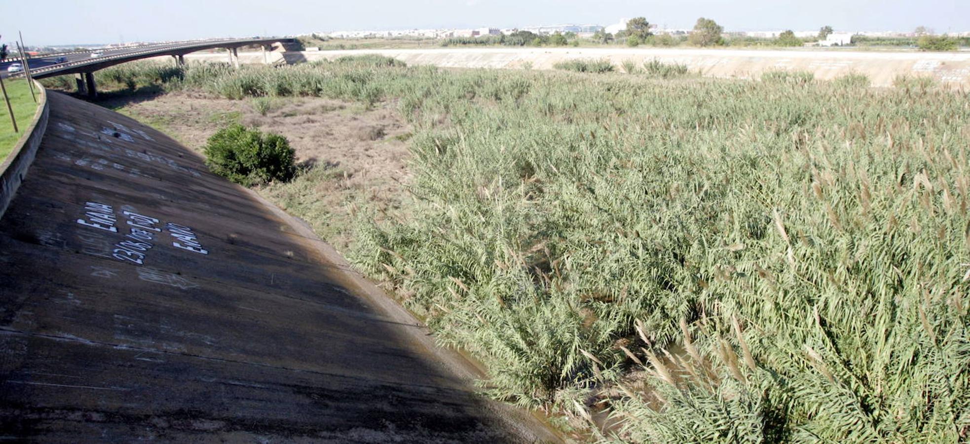 El nuevo cauce, útil pero feo. La cicatriz quesalva de las riadas. 17 puentes cruzan el nuevo cauce, donde el Ayuntamiento quiere recuperar el lecho para un uso público como zona de paseo. De momento, no se ha avanzado nada y se cuenta sólo con unos primeros estudios