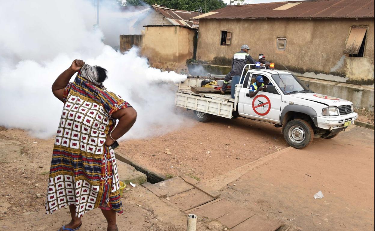 Fumigación. Una mujer se protege del insecticida que lanzan desde un coche en Costa de Marfil para atacar al mosquito que causa esta enfermedad. Abajo, larvas de Aedes aegypt en un tubo de ensayo. 