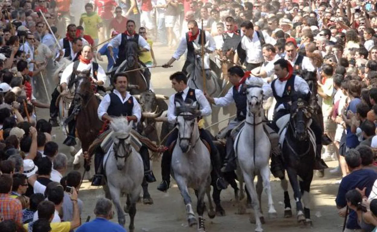 Programa de las Fiestas 2019 de Segorbe: horarios y actos | Semana taurina Segorbe 2019, entrada de toros y caballos 2019