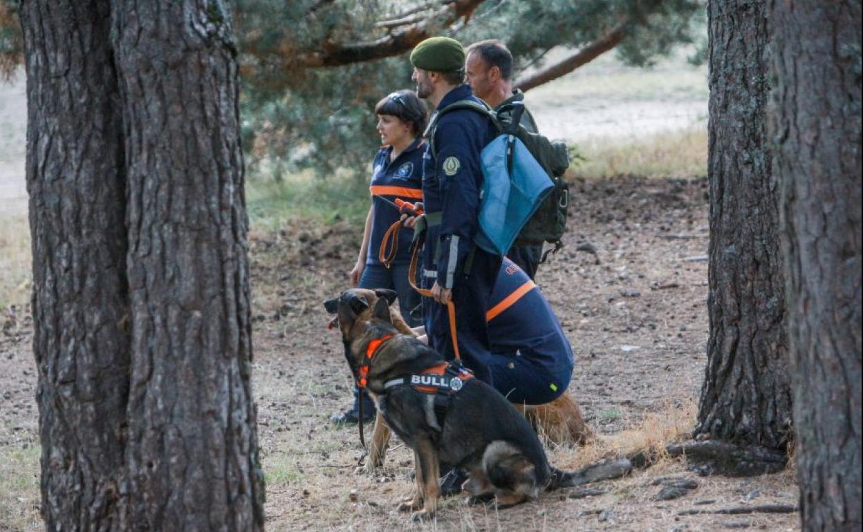 Dispositivo de búsqueda de Blanca Fernández Ochoa en la sierra de Madrid.