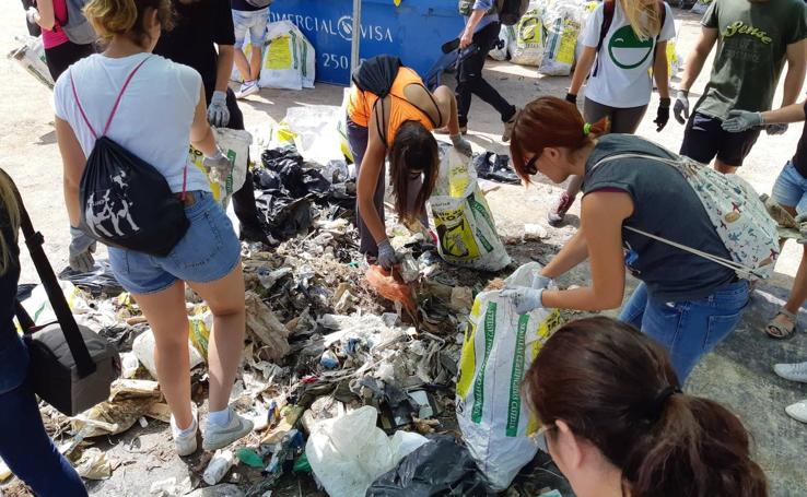 Fotos: Recogida de basura en la Albufera