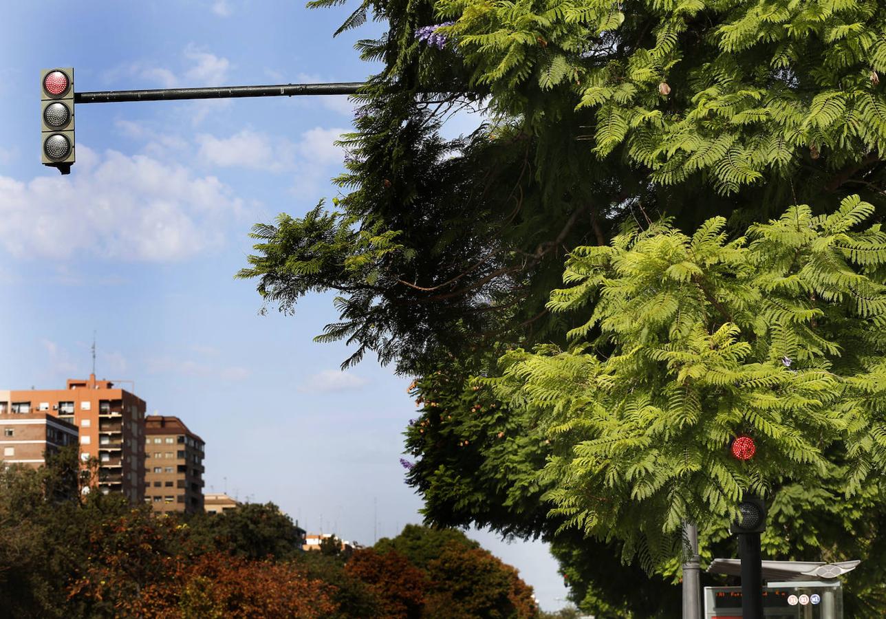 Avenida Blasco Ibáñez.