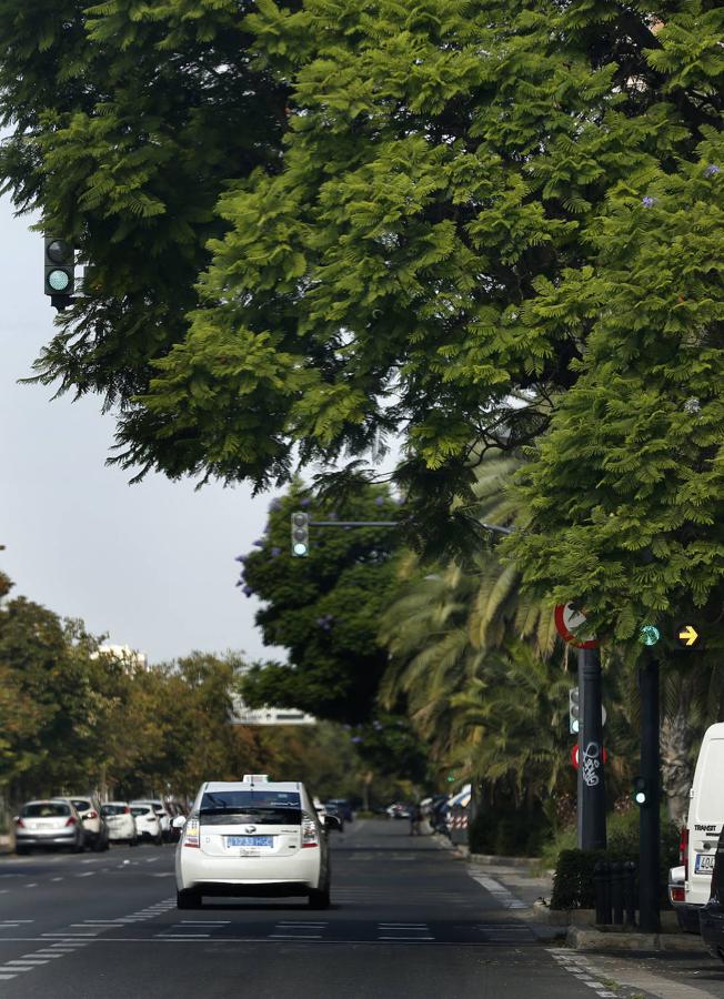 Avenida Blasco Ibáñez.