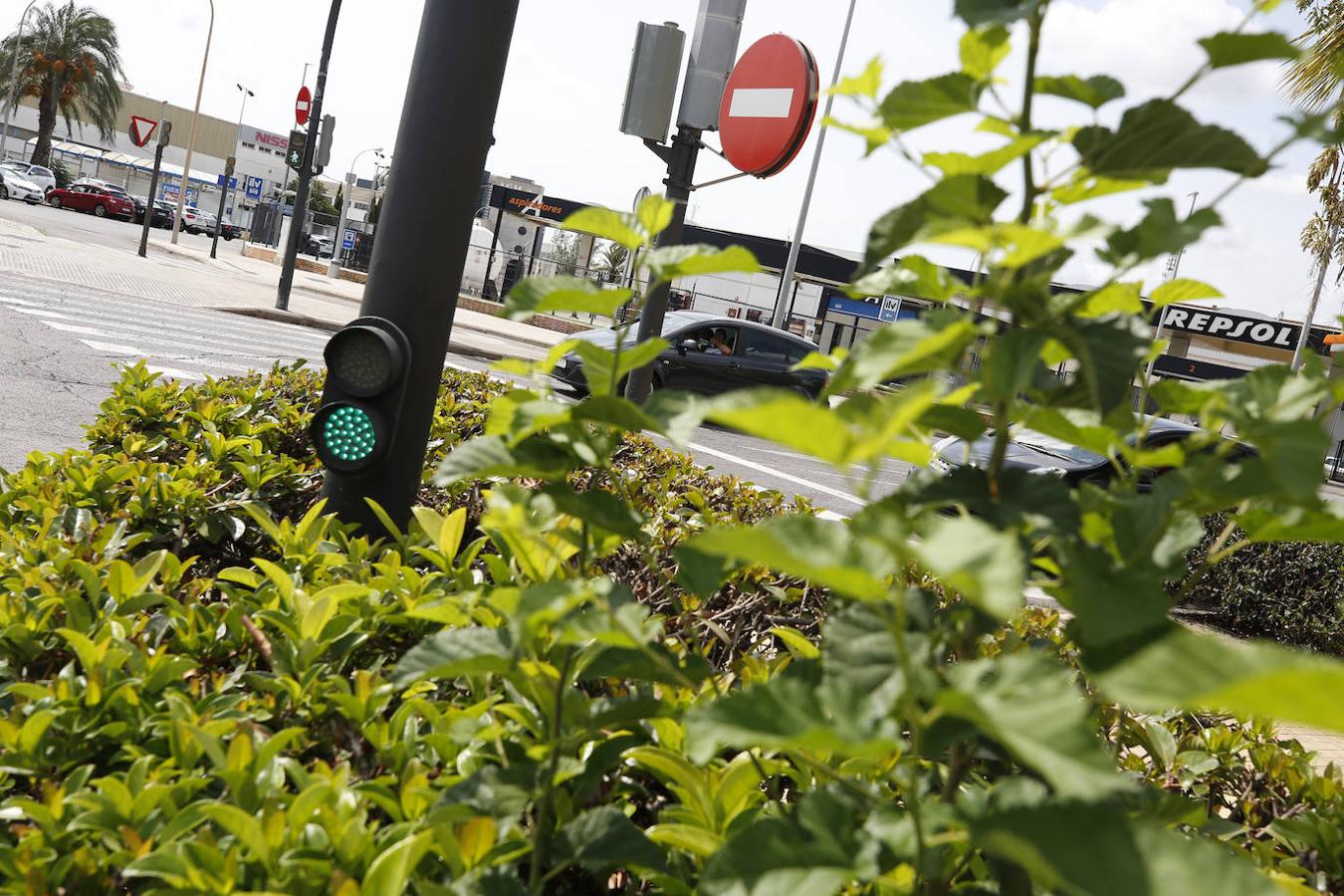 Avenida Tres Cruces.