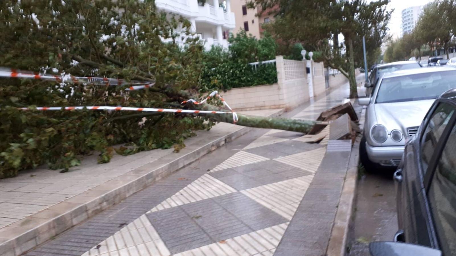 Fotos: La gota fría de la Comunitat en imágenes