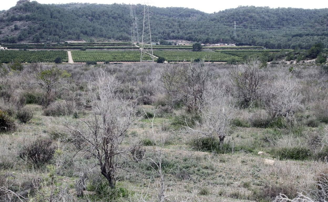 Un aspecto del paraje de Porxinos en el término municipal de Riba-roja en 2017.