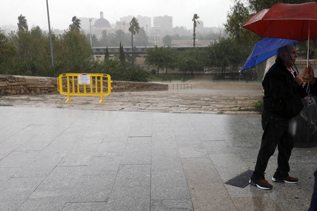 Fotos: La gota fría de la Comunitat en imágenes