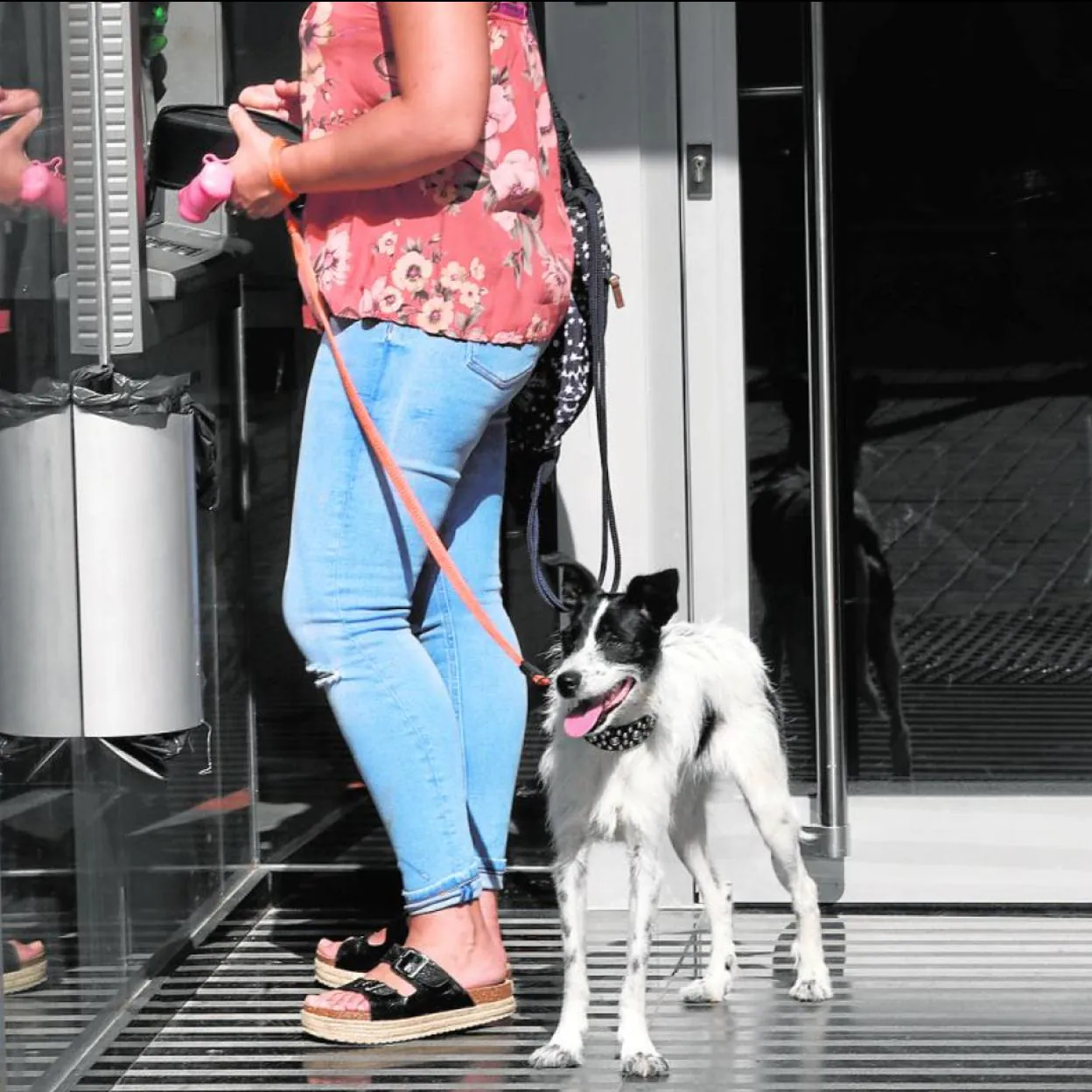 Mujer con un perro en Valencia.