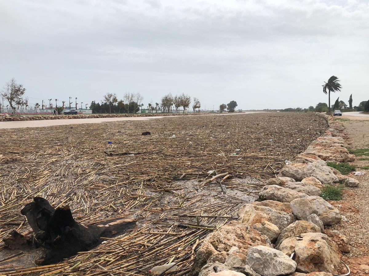 Fotos: Precipitaciones en la Ribera