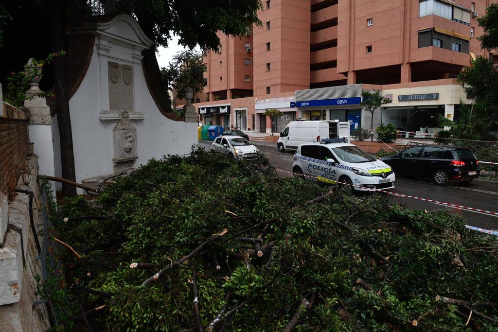 El temporal sigue sin dar tregua, se extiende a más provincias y este sábado se ha cobrado la séxta víctima mortal.