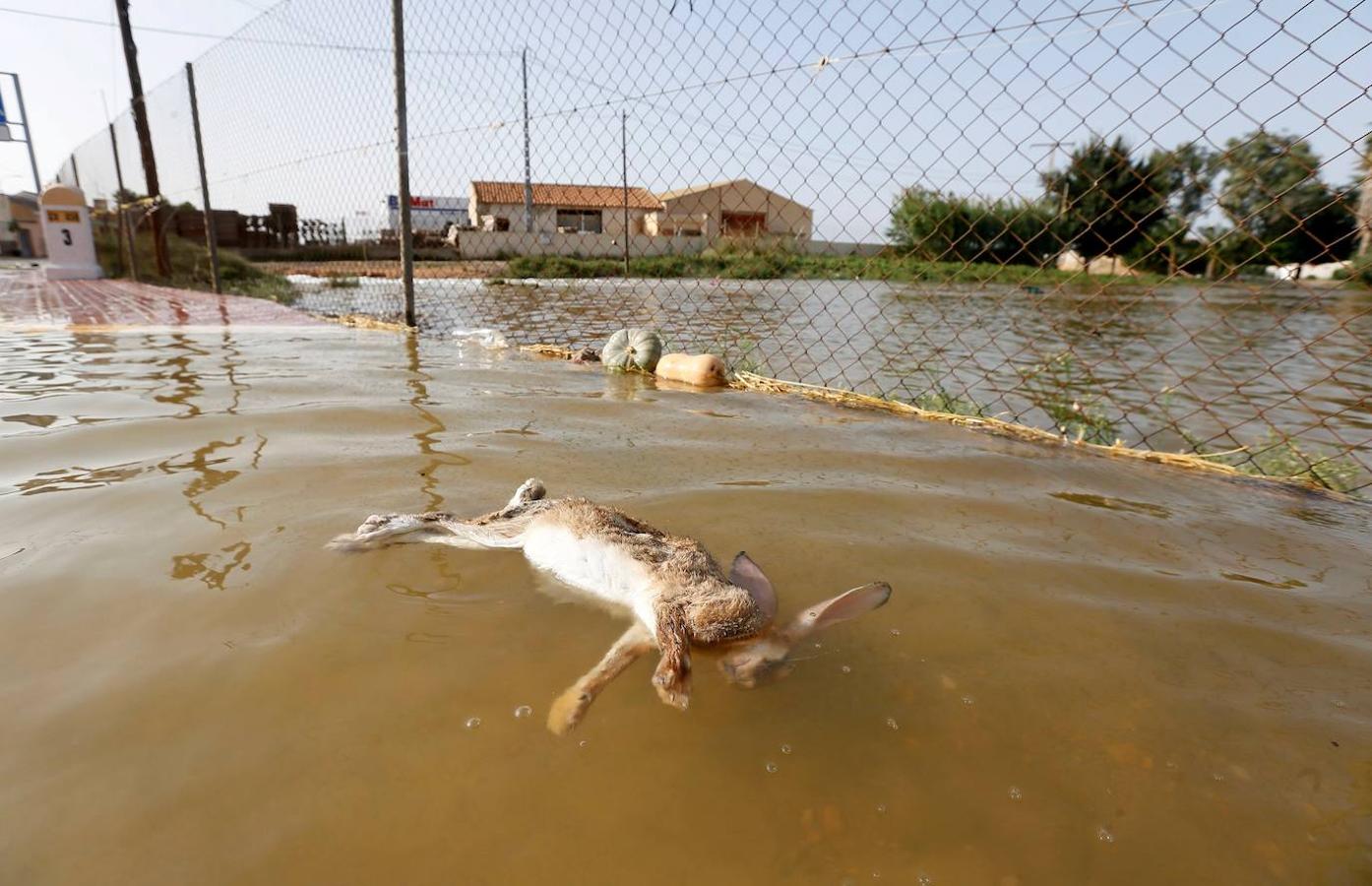 Los graves destrozos por las lluvias en Dolores