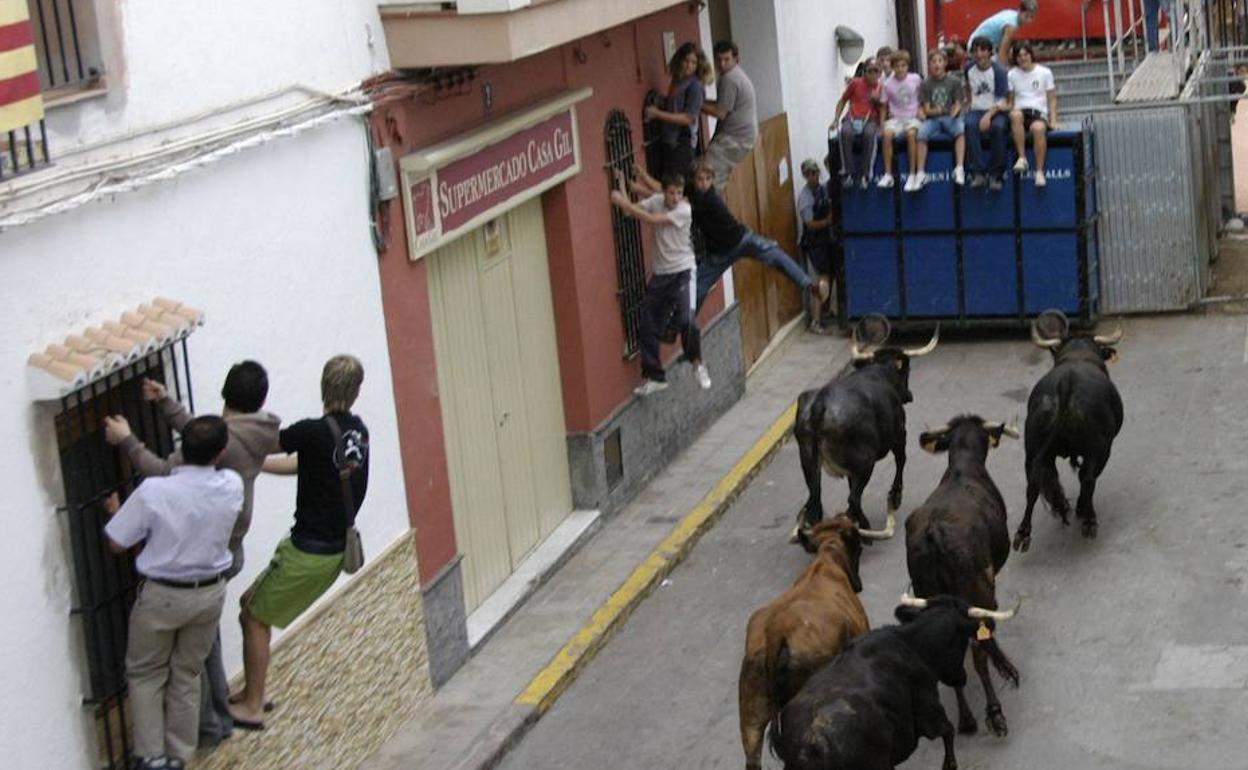 Bous en Quart de les Valls en una foto de archivo. 