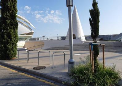 Imagen secundaria 1 - Matorrales en distintos lugares de Valencia.