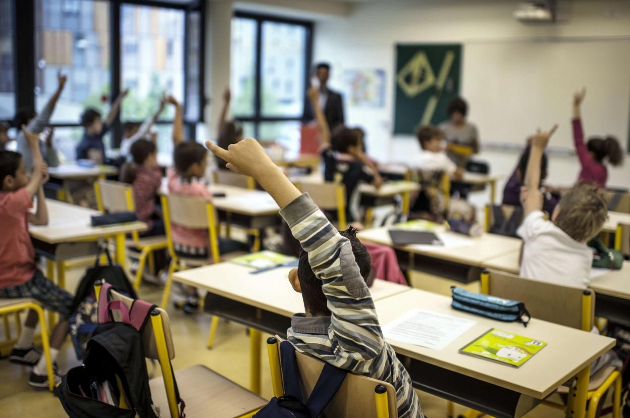 Los padres de gemelos podrán opinar sobre la escolarización de sus hijos en la misma aula