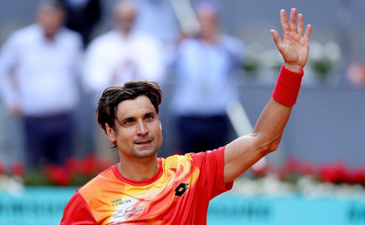 David Ferrer