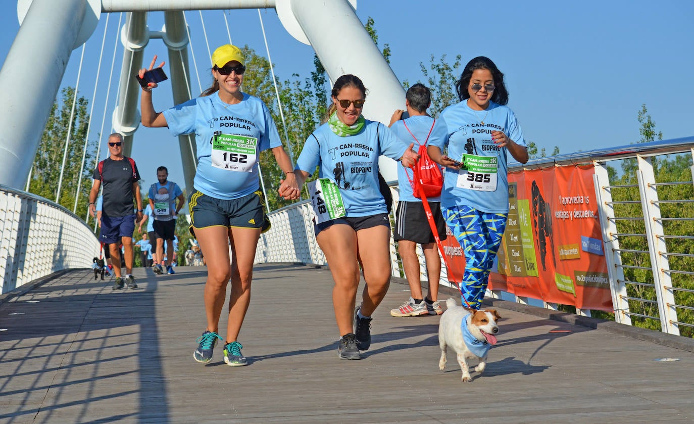 Fotos: Can-rrera Bioparc 2019: animales y dueños corren juntos en Valencia