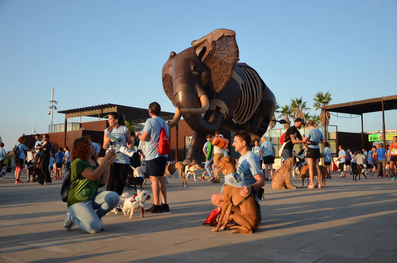 Fotos: Can-rrera Bioparc 2019: animales y dueños corren juntos en Valencia