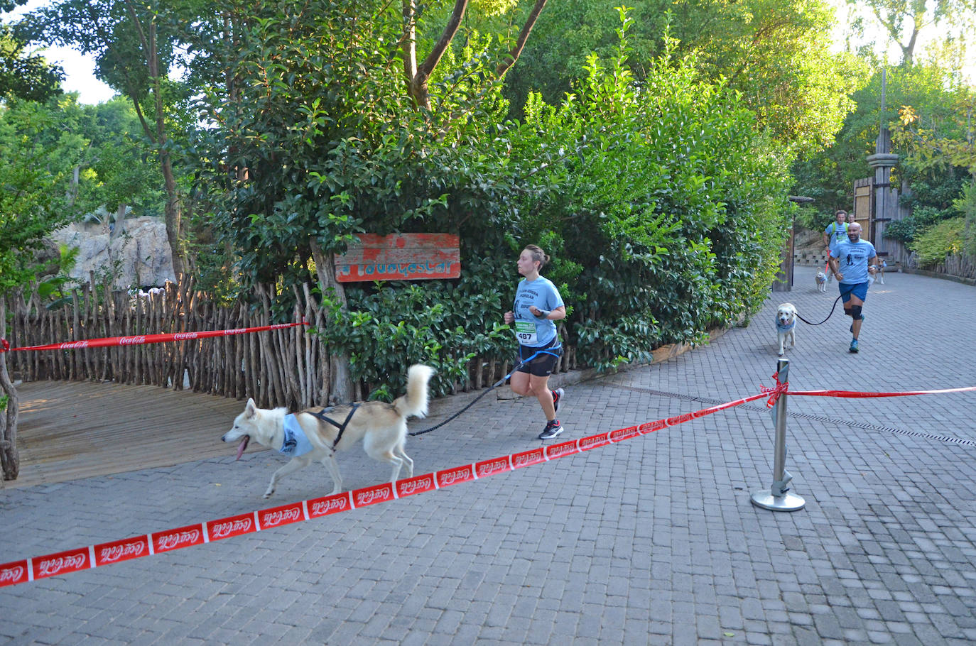 Fotos: Can-rrera Bioparc 2019: animales y dueños corren juntos en Valencia