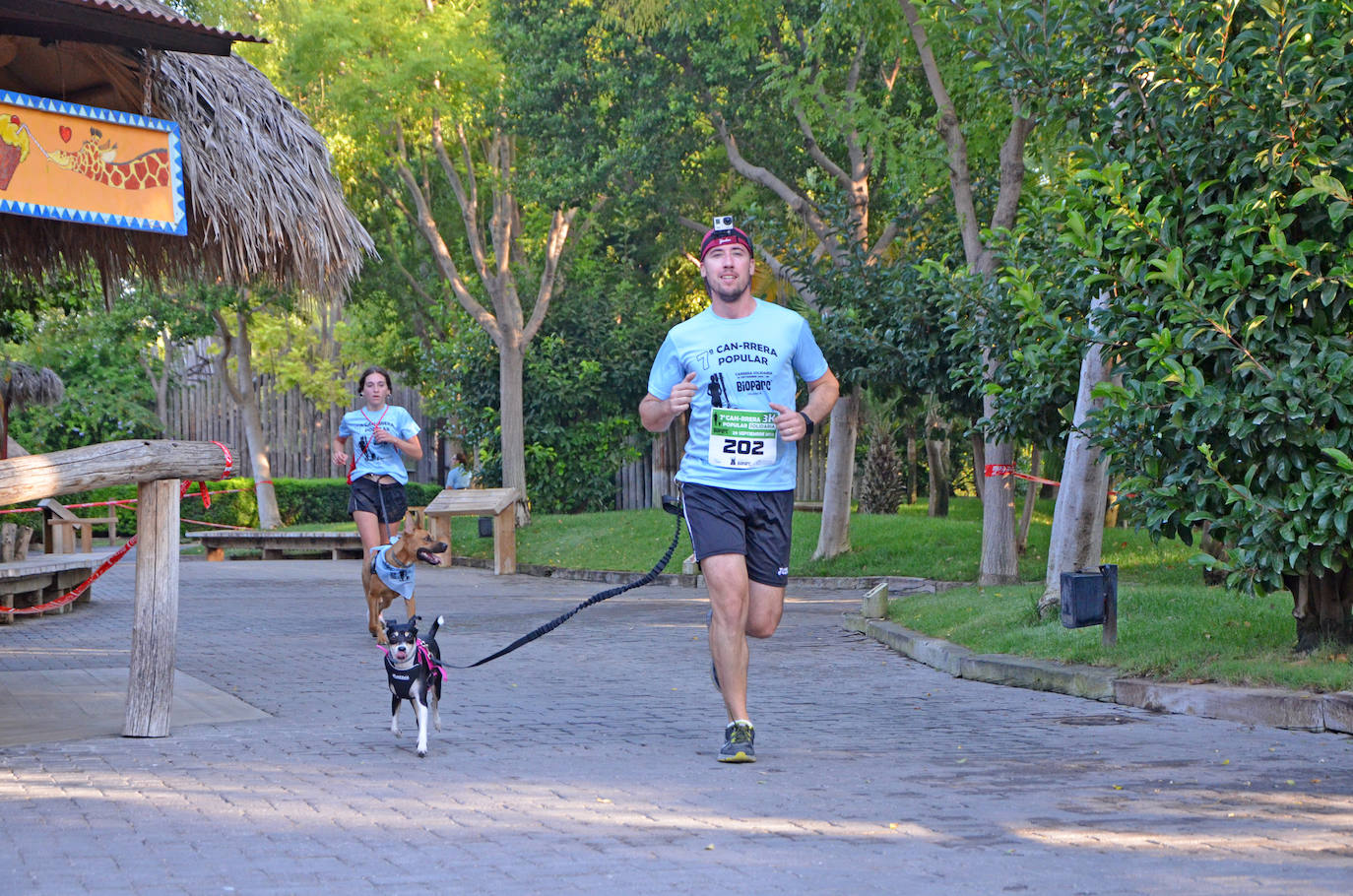 Fotos: Can-rrera Bioparc 2019: animales y dueños corren juntos en Valencia