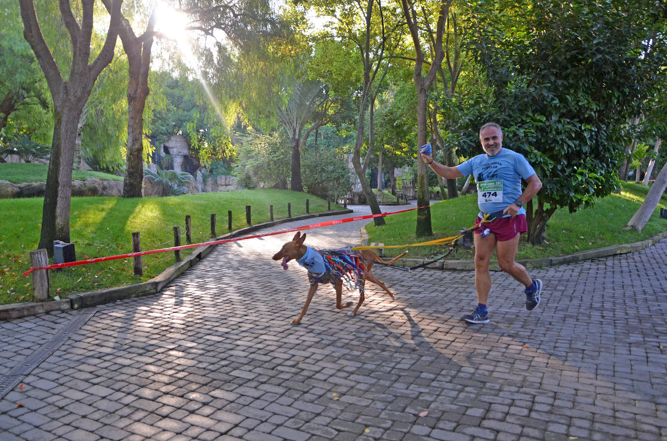 Fotos: Can-rrera Bioparc 2019: animales y dueños corren juntos en Valencia