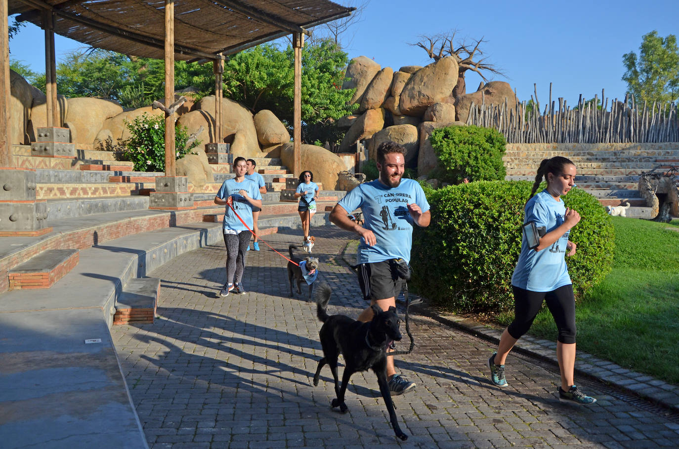 Fotos: Can-rrera Bioparc 2019: animales y dueños corren juntos en Valencia