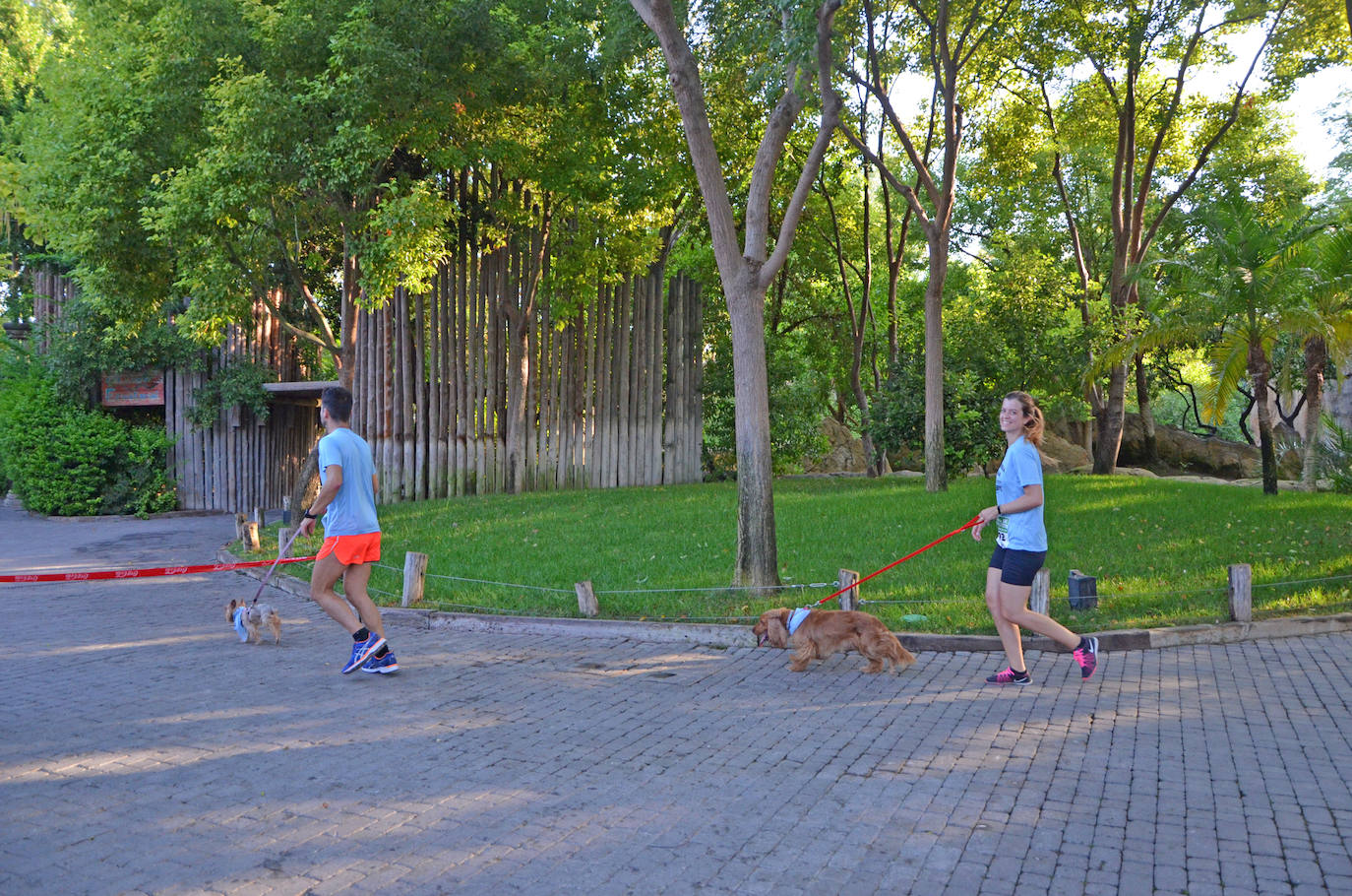 Fotos: Can-rrera Bioparc 2019: animales y dueños corren juntos en Valencia