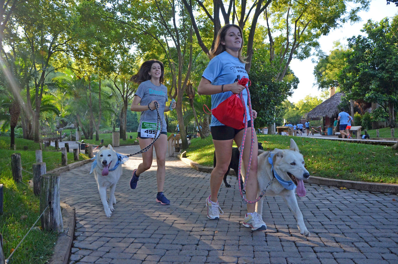 Fotos: Can-rrera Bioparc 2019: animales y dueños corren juntos en Valencia