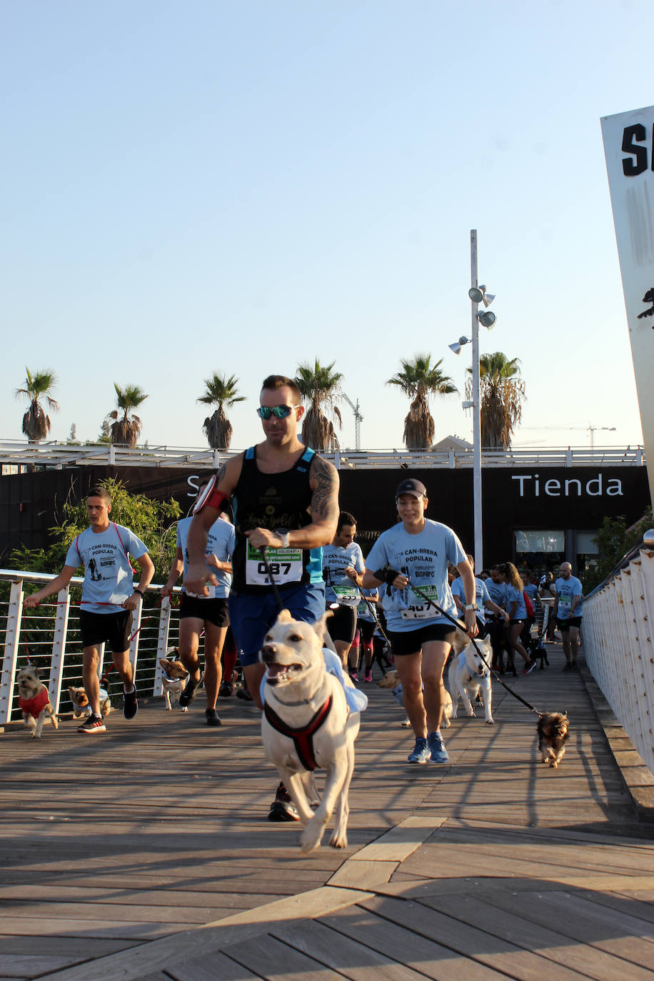 Fotos: Can-rrera Bioparc 2019: animales y dueños corren juntos en Valencia