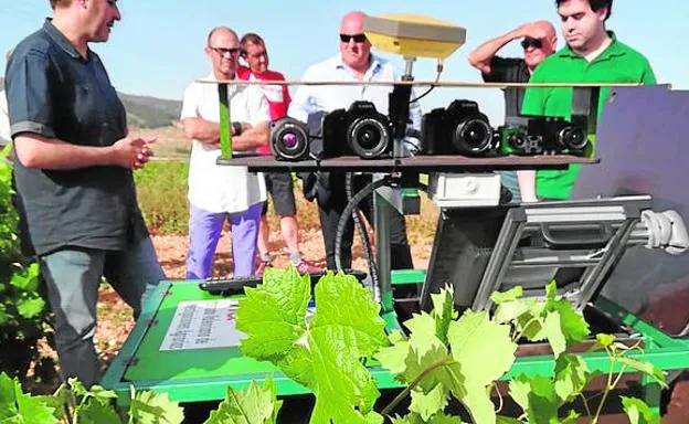 «En el sector del vino necesitamos márgenes de rentabilidad adecuados»