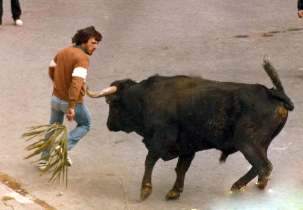 Frente a un toro de Macua, a finales de los años 70. 