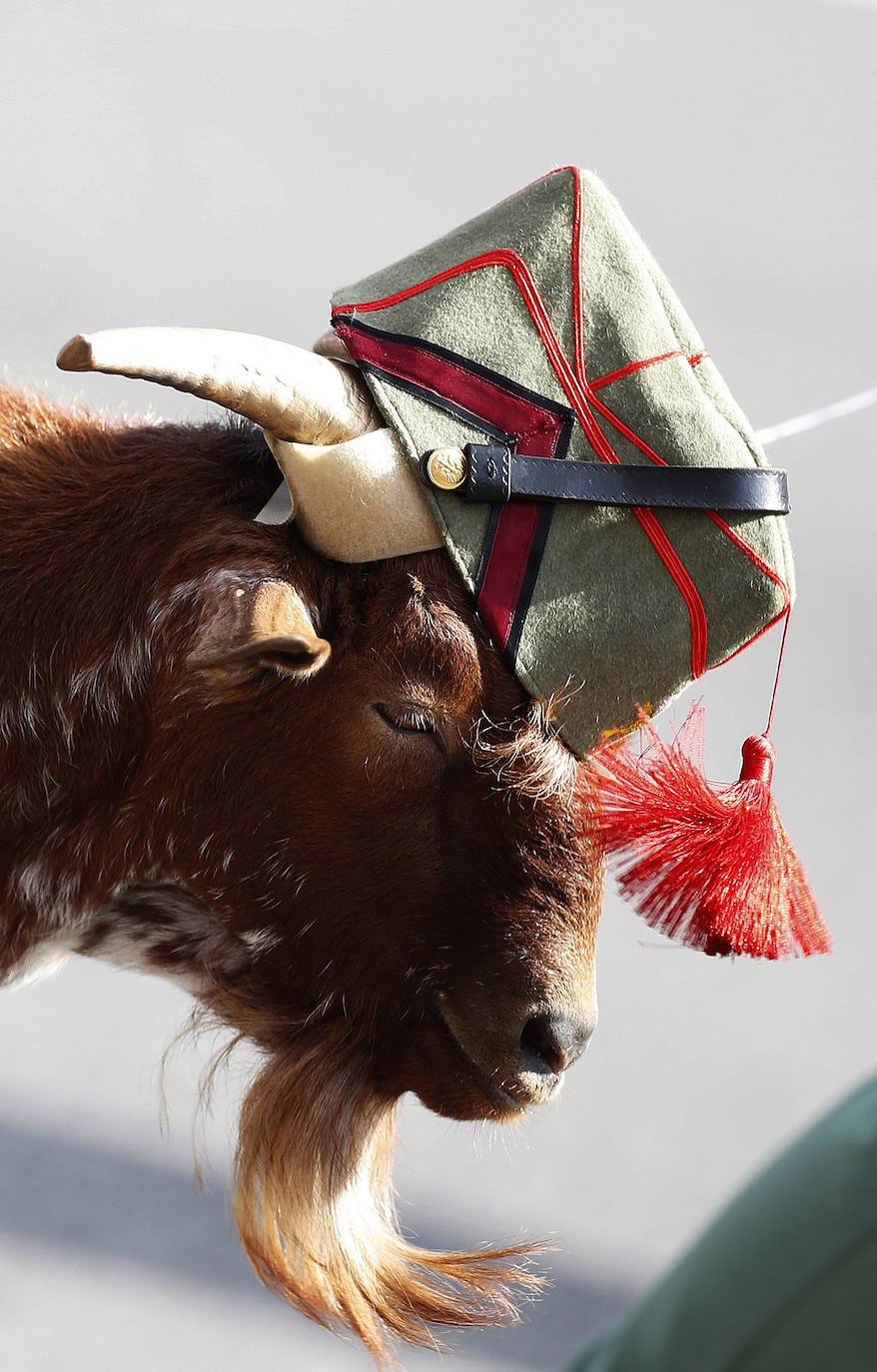 Desfile militar de la Fiesta Nacional de 2019