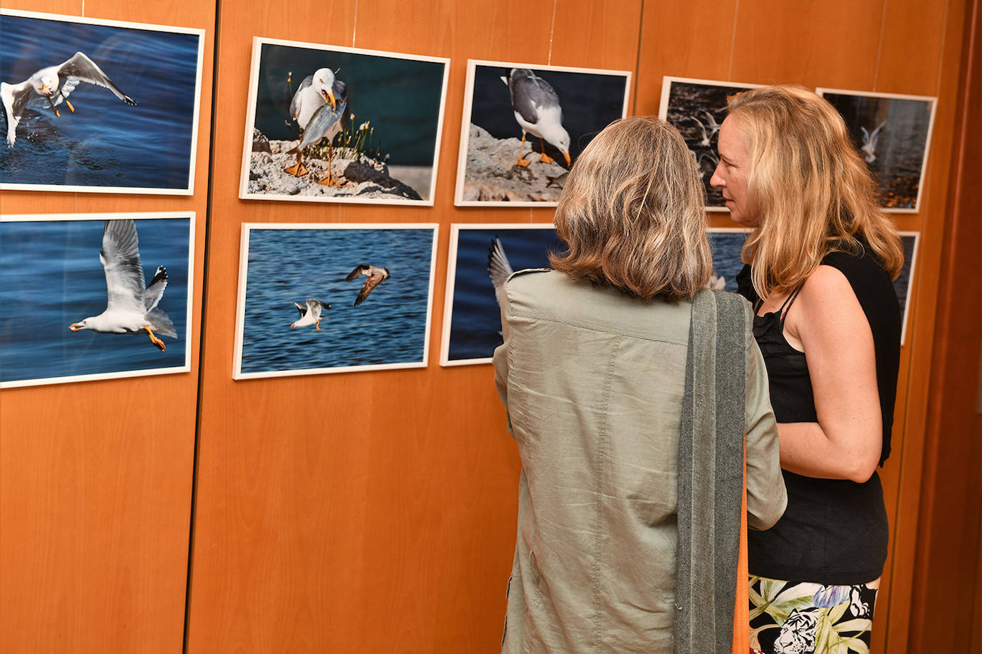 Inauguración de la exposición 'Aves a la mar' organizada por el Rotary Club Jávea en beneficio de End Polio Now