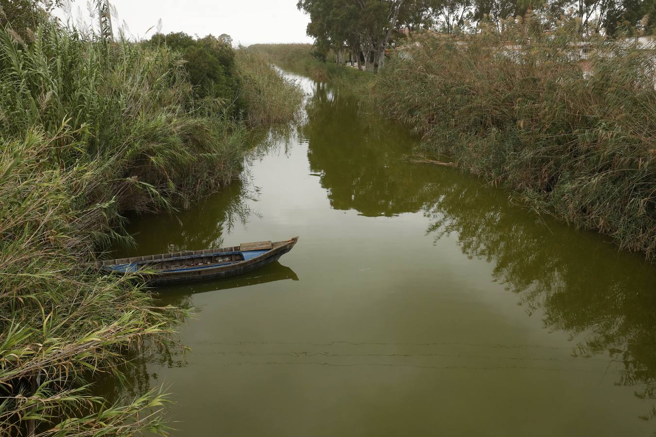 La falta de agua de calidad, los sedimentos y la inacción de las administraciones amenazan el futuro del parque natural