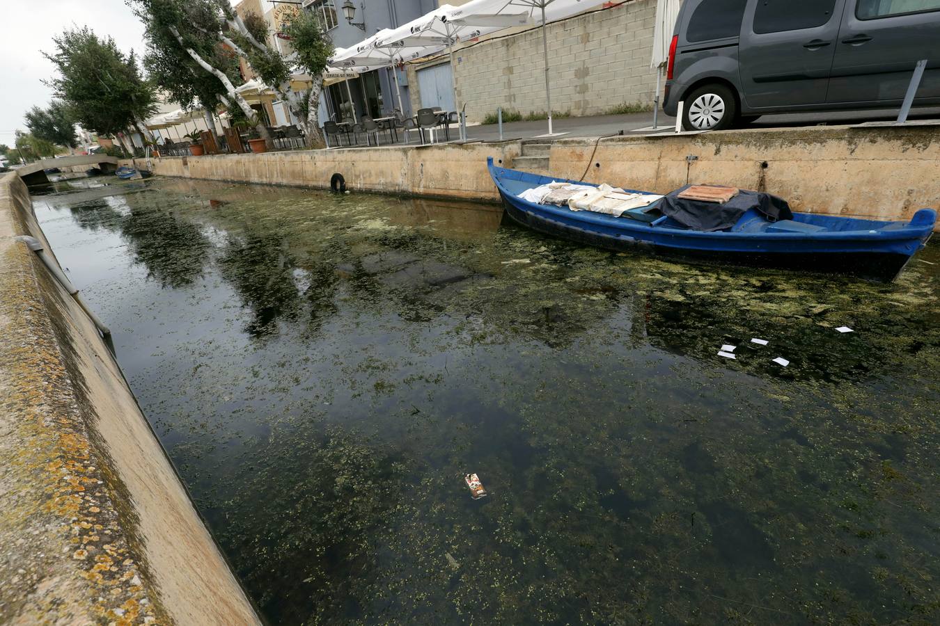 La falta de agua de calidad, los sedimentos y la inacción de las administraciones amenazan el futuro del parque natural