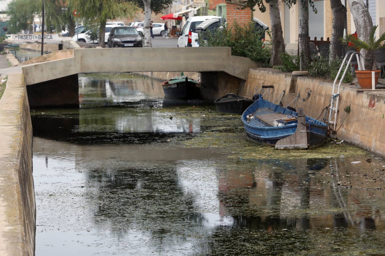 La falta de agua de calidad, los sedimentos y la inacción de las administraciones amenazan el futuro del parque natural