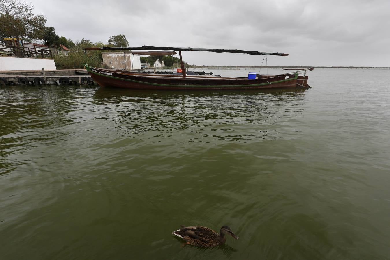 La falta de agua de calidad, los sedimentos y la inacción de las administraciones amenazan el futuro del parque natural