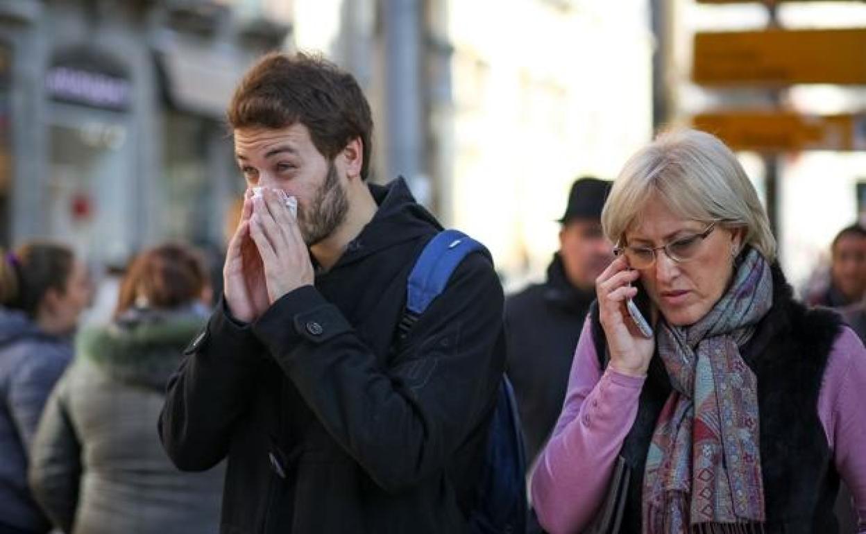Científicos españoles advierten del aumento de las 'alergias cruzadas'