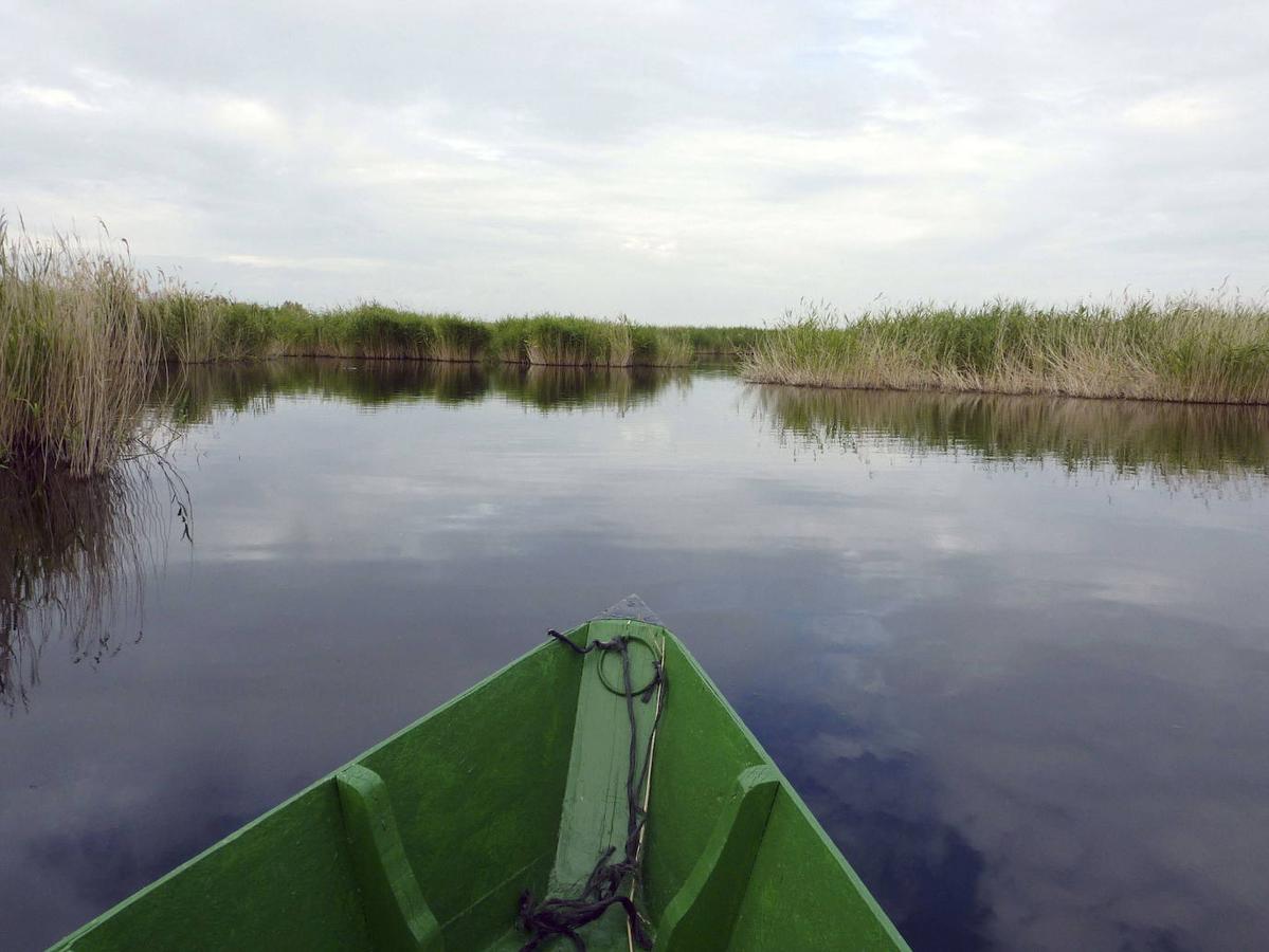 Tablas de Daimiel (Ciudad Real)