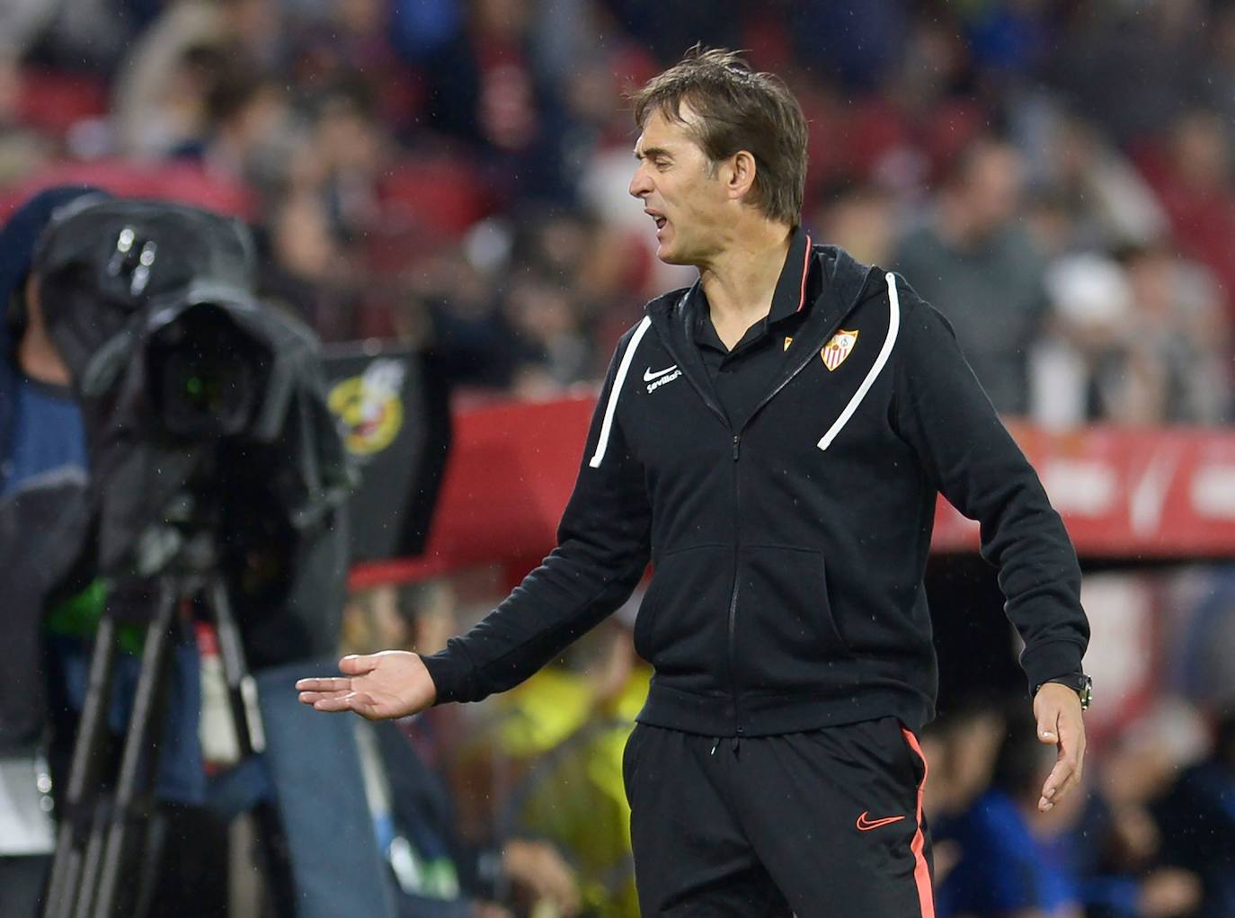 Fotos: Todas las fotos del Sevilla - Levante en el Pizjuán