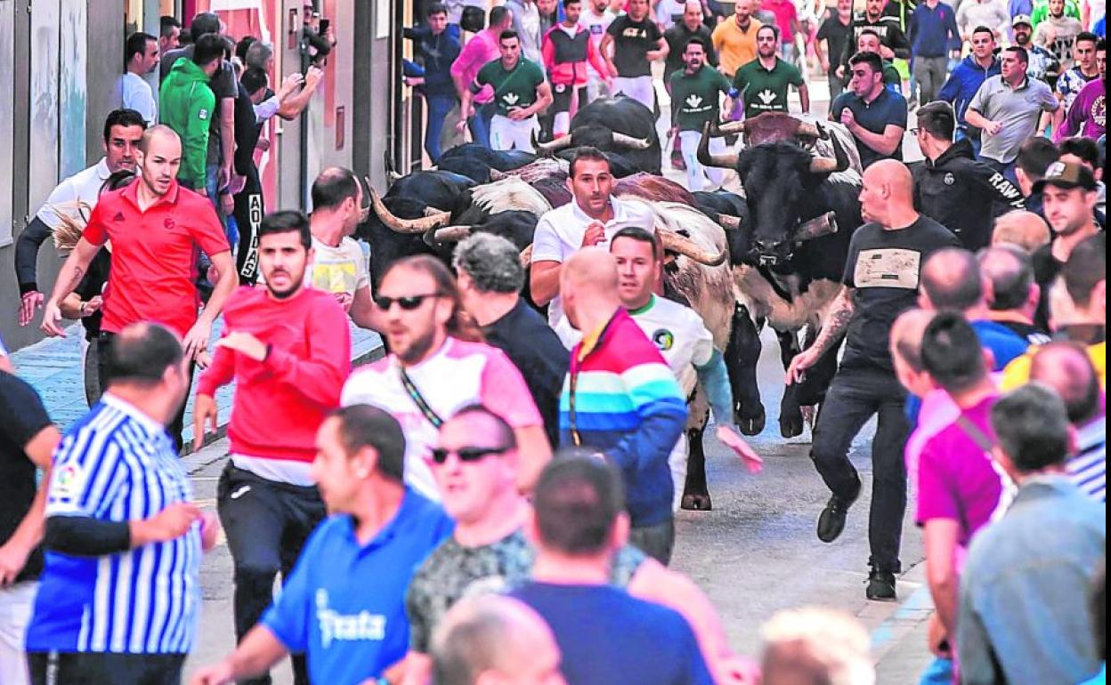 Multitudinario el encierro de Couto de Fornilhos del jueves.