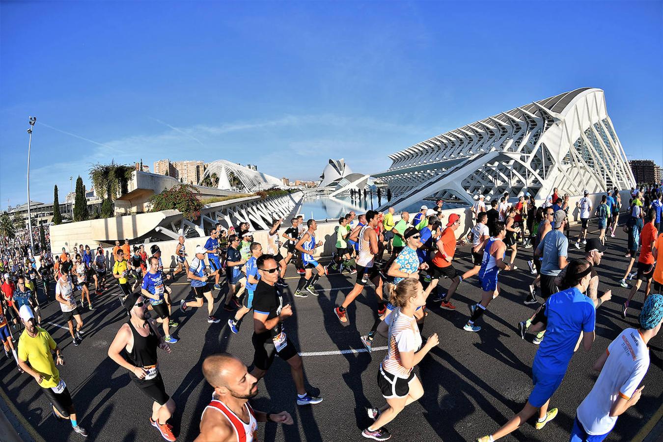 Fotos: Las mejores imágenes del Medio Maratón de Valencia 2019