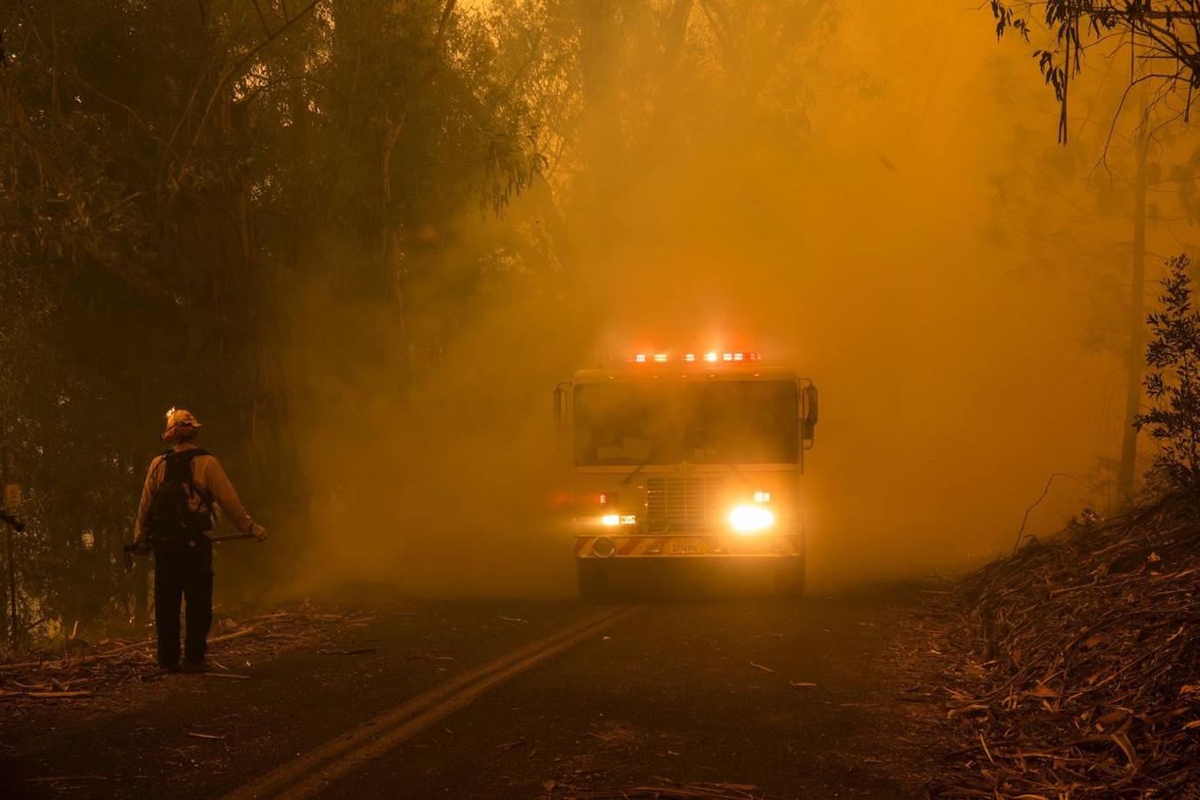 Fotos: Incendios forestales en California