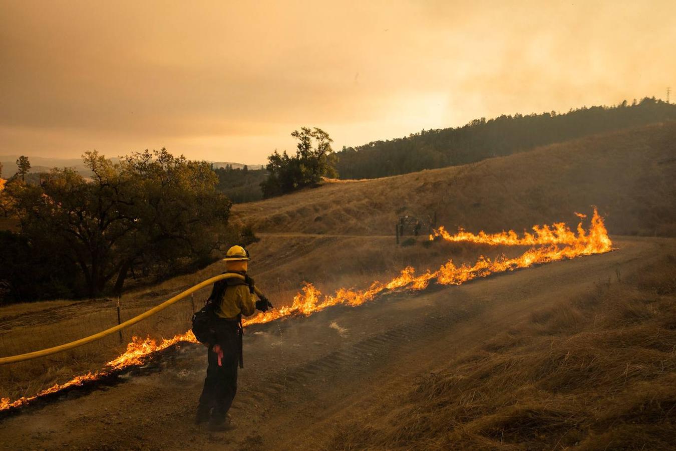 Fotos: Incendios forestales en California