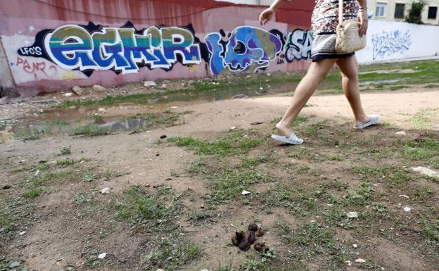 Descampado de Orriols juno a un parque infantil. La zona está llena de plásticos, latas y heces.